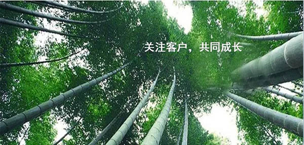 8131622447241562.jpg 1-18.jpg